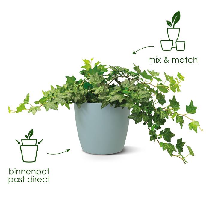 brussels rond 18cm mosgroen
